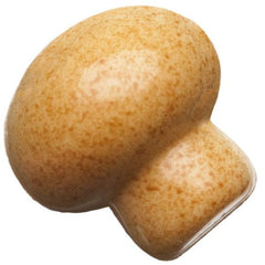[N]V 226-3 Champignon Marbré[n][F]V 226-3 Champignon Marbré[f][E]V 226-3 Mushroom Marbled[e]
